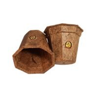 COCOPOT2