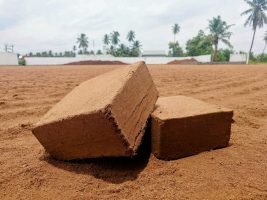 cocopeat1